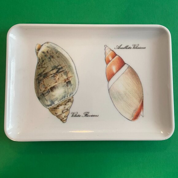 White Melamine Seashell Serving Tray / Trinket Tray ~ Made in Italy ~ Earthtones - Picture 1 of 4